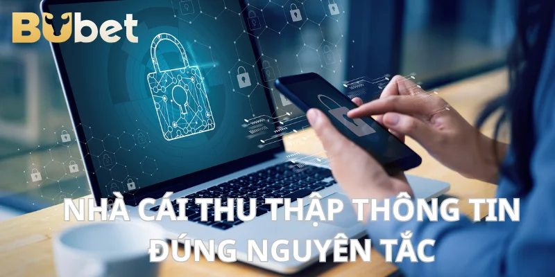 Trang cược thu thập dữ liệu hội viên đúng nguyên tắc.