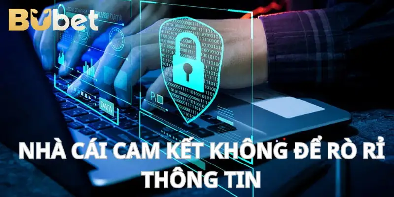 Điểm cược cam kết giữ an toàn cho mọi dữ liệu..