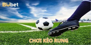Chơi Kèo Rung Chuẩn Xác Như Các Lão Làng Nhà Cái BuBet