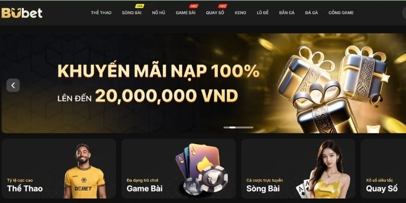 Một vài nguyên nhân thường gặp khiến người chơi không thể đăng nhập BuBet. 