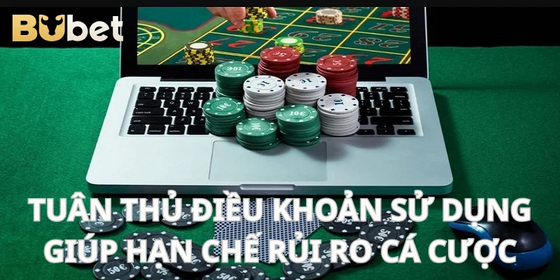 Nắm rõ điều khoản giúp tránh mắc sai lầm cá cược.