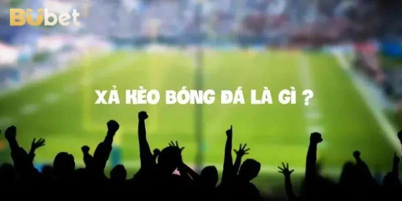 Xả kèo bóng đá là gì là thuật ngữ được không ít người chơi quan tâm. 
