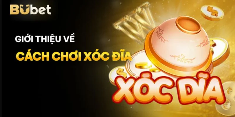 Xóc đĩa tại sân chơi Casino BuBet là xu hướng cược thịnh hành. 